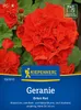 Kiepenkerl Geraniensamen Orbit Rot F1 Pelargonium zonale 10 Produktbild-Vorschau 3