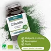 Clorella biologica - 240 compresse 120g Anteprima dell’immagine prodotto 2