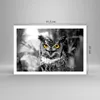 Poster - Poster ohne Rahmen - Eule Vogel Natur - 91,5x61 cm Produktbild-Vorschau 4
