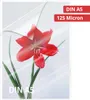 100x 1-PACK feuilles à plastifier A5, 154 x 216mm, 2x 125 Voir les images du produit 5