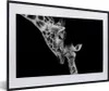 MuchoWow® Gerahmtes Poster Porträt - Giraffe - Tiere - Produktbild-Vorschau 1