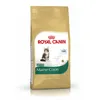 Royal Canin Maine Coon Kitten, Kitten, Maine Coon, Produktbild-Vorschau 16