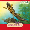 Collecta 80043 Luipaardgekko, 9 cm, Reptielen Productafbeelding-voorbeeld 2