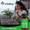 Vitabay Spermidin 6 mg – 120 vegane Kapseln – hochdosiert - Produktbild-Vorschau 5