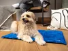 TrendPet Arctic Komfort, tappetino rinfrescante per cani, Anteprima dell’immagine prodotto 4