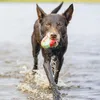 Beeztees Hundespielzeug Splashball blau/rot Produktbild-Vorschau 3