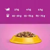 Whiskas Adult 1+ Katzentrockenfutter für Erwachsene Katzen Produktbild-Vorschau 4