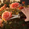 siwitec Gartenschere SG-12 mit gerader Klinge, Produktbild-Vorschau 2