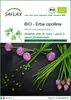 SAFLAX  -- Erba cipollina - 250 semi - Allium Anteprima dell’immagine prodotto 1