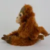 Kuscheltier Orang Utan Affe mit Baby 28 cm sitzend Uni-Toys Produktbild-Vorschau 3