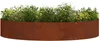 vidaXL Plantenring, roestkleurig, 120 x 120 x 20 cm, Productafbeelding-voorbeeld 2