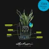 LECHUZA plantpot CLASSICO, kleur 70, leisteengrijs | Productafbeelding-voorbeeld 17
