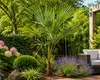 Chinesische Hanfpalme 160–180 cm Trachycarpus fortunei Produktbild-Vorschau 3
