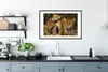 MuchoWow® MuchoWow® Gerahmtes Poster Leopard - Wilde Tiere Produktbild-Vorschau 4