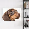Magnettafel 60x40cm Pinnwand Whiteboard beschreibbar - Produktbild-Vorschau 3