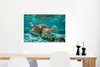 MuchoWow® - Leinwandbilder - Eine Schildkröte schwimmt Produktbild-Vorschau 7