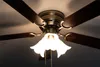 Ventilateur de plafond Pepeo Kisa Deluxe Laiton antique 105 Voir les images du produit 10