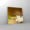 Bilder auf glas - Asien spa bambus blume - 50x50cm - Produktbild-Vorschau 4
