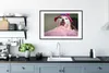MuchoWow® MuchoWow® Gerahmtes Poster Katze - Kissen - Mütze Produktbild-Vorschau 4