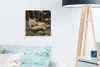 MuchoWow® - Leinwandbilder - Fuchs - Wald - Tier, Wandbild, Produktbild-Vorschau 5