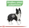 Royal Canin Medium Digestive Care, Adult, Mittelgroß (11-25 Produktbild-Vorschau 4