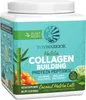 Sunwarrior Collagen Building Protein Peptides (500g) Produktbild-Vorschau 1