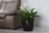 Lamela Blumentopf | Magnolia | Glanz | Schwarz | 25 cm Produktbild-Vorschau 6