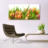 Glasbilder 140x70 Wandbild Druck auf Glas Tulpen Pflanzen Produktbild-Vorschau 3