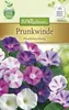 Prunkwinde PrachtMischung  | Windensamen von N.L. Produktbild-Vorschau 3