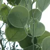 GASPER Eukalyptuszweig Grün mit Knospenansätzen 85 cm - Produktbild-Vorschau 2