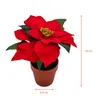3.08 Poinsettia 20 cm en pot de terre cuite - Poinsettia / Voir les images du produit 2