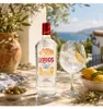 1 l Flasche Larios London Dry Gin | 37,5 % vol | 1,0 l Produktbild-Vorschau 3