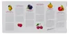 Schladerer Obstbrand Probierpack 42% Vol. 6 x 0,03l Produktbild-Vorschau 6