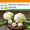 SAFLAX Garden in the bag - BIO - Karfiol - Snehová guľa - Náhľad obrázku produktu 10