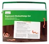 TimeTEX Beobachtungs-Set "Regenwürmer" Produktbild-Vorschau 4