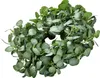 Ghirlanda decorativa 66,04 cm Ghirlanda di eucalipto Anteprima dell’immagine prodotto 9