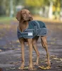 Waldhausen Outdoor Comfort Line 200g Hundejacke Grün 55cm Produktbild-Vorschau 2