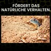 Hagen Exo Terra DesertSand, zwart, 4,5 kg, substraat voor Productafbeelding-voorbeeld 3