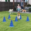 PawHut Agility Set pre psov – 3-dielna agility výbava na Náhľad obrázku produktu 2
