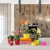 Kolibri Orchids rote Phalaenopsis-Orchidee Kongo + Produktbild-Vorschau 9