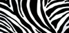 Klebefolie - Möbelfolie Zebra - schwarz weiss -  45 cm x Produktbild-Vorschau 6