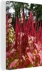 OneMillionCanvasses® - Leinwandbilder - 90x140 cm, Produktbild-Vorschau 1