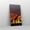 Bild auf Leinwand - Leinwandbild - Giraffe Afrika Sonne Produktbild-Vorschau 4