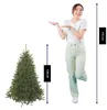 Triumph Tree Arbre de Noël artificiel Bristlecone - Voir les images du produit 6