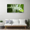 Acrylglasbilder 100x50 Wandbild Druck Gras Tautropfen Produktbild-Vorschau 3
