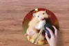 MuchoWow® Mauspad Mousepad Hamster beim Zähneputzen 40x40 Produktbild-Vorschau 3