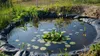 Premium PVC pond liner nero Pond liner pond tarpaulin  EU Anteprima dell’immagine prodotto 7