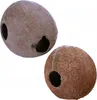 Terrario CocoLair - tutto il cocco naturale Terrario Anteprima dell’immagine prodotto 5