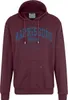 Übergrößen Kapuzen-Sweatshirt AHORN SPORTSWEAR Harrisburg Produktbild-Vorschau 1