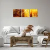 Bild auf Leinwand - Leinwandbild - Wald Baum Natur - Produktbild-Vorschau 6